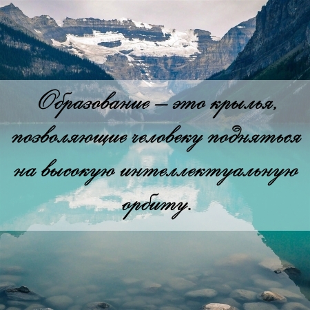 цитата об образовании и контрольной